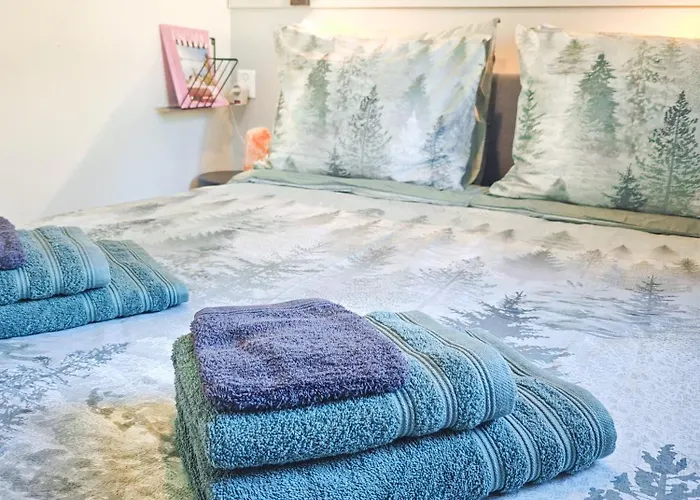 The Red Shutter Hattemerbroek