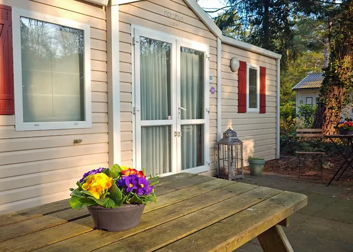 The Red Shutter * Hattemerbroek