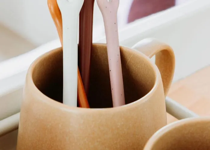 The Red Shutter Hattemerbroek